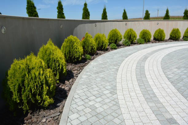 Best Driveway Paver Repair  in North Charleroi, PA